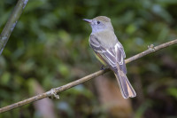 Barú National Wildlife Reserve